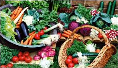 Quelles sont les trois potagères américaines qui poussent très bien ensemble ?