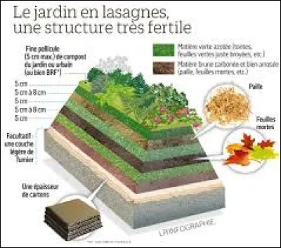 Pour le jardinier une lasagne, c'est...