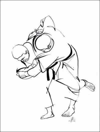 Quelle est cette prise ?