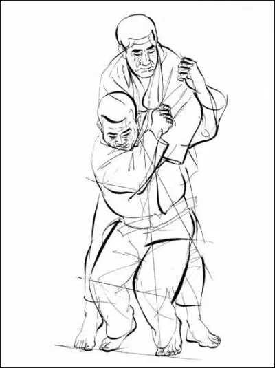 Quelle est cette prise ?