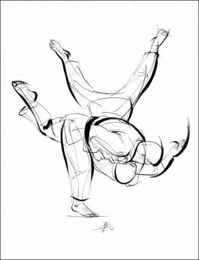 Quelle est cette prise ?