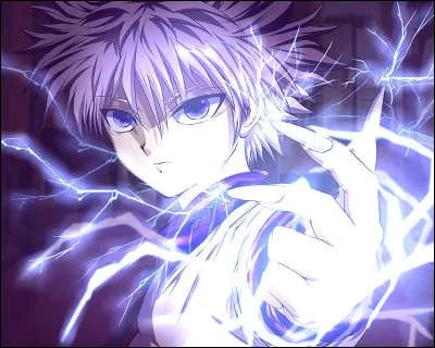 Dans &laquo; Hunter x Hunter &raquo;, qui est le meilleur ami de Gon ?