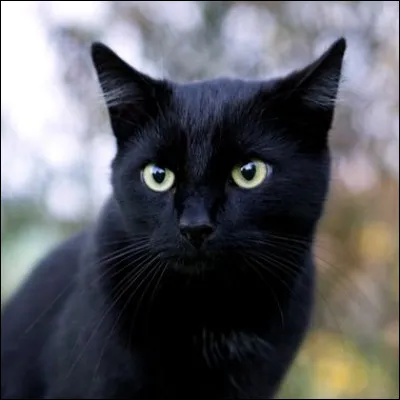 Quel personnage s'associe à cette image ?