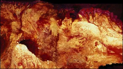 Vieilles croûtes (2) > Les plus anciennes peintures au monde - découvertes jusqu'à présent - datent d'au moins ... et ont été réalisées ... (Complétez !)