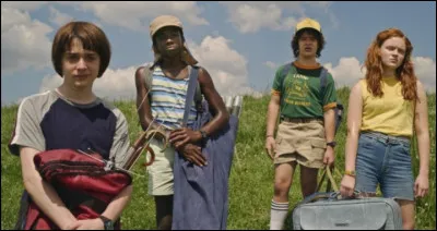 Complétez cette citation de Dustin Henderson : Je fais un voyage de curiosité, et j'ai besoin de mes pagaies pour voyager. Ces livres sont mes pagaies ... mes pagaies !