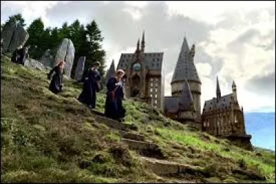 Quelle est ta matière préférée à Poudlard ?