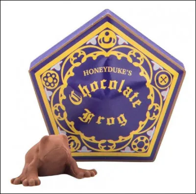 Dans le train à destination de Poudlard, quel sorcier Harry voit-il sur sa carte de Chocogrenouille ?