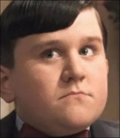 Quel est le prénom du cousin de Harry ?