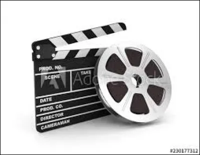 Quel est ton genre de film pr&eacute;f&eacute;r&eacute; ?