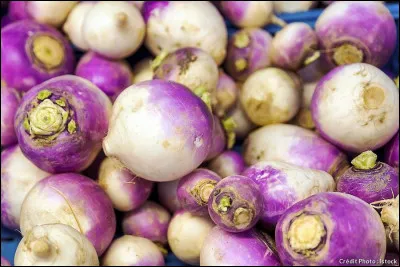 Quel est le nom de ce légume ?