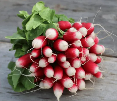 Quel légume est présent sur la photo ?