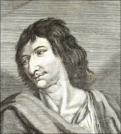 Quel oiseau peut-être des aulnes ou des pins ?