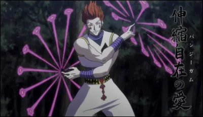 De quelle catégorie de Nen est-il ?