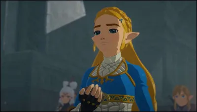 Avec combien de tenues voit-on Zelda ?