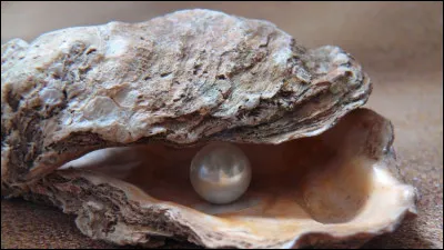 L'huître aussi a une particularité !