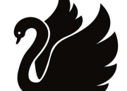 Quiz Quiz sur Le Cygne Noir / Gardiens des Cits Perdues (GDCP)