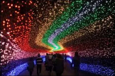 Langues étrangères : 

Comment dit-on Noël en Japonais ?