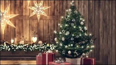 Santé : 

Vous vous en serez doutés, si on voit "santé", on pense tous forcément "coronavirus". Mais là, oh joie, je vais vous parler d'autre chose. Peut-on être allergique au sapin de Noël ?