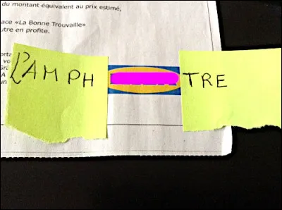 Marque à l'ombre des grands pins.