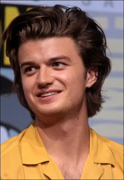 Quel rôle a joué Joe Keery ?