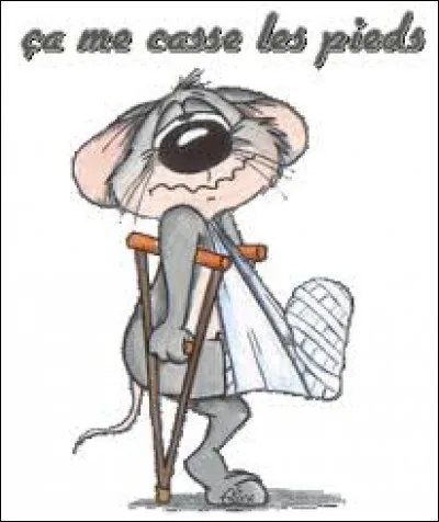 Dans lequel de ces films joue Jean Rochefort ?