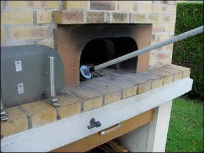Dans le midi de la France, l'éjard est le nom vulgaire d'un arbre : lequel ?