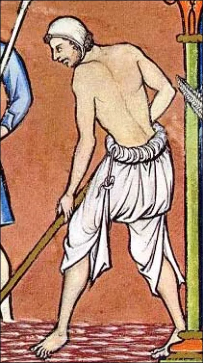 Sur quel animal trouve-t-on une comblète ?