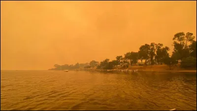 En janvier l'Australie subissait encore de violents incendies qui ont brûlé...