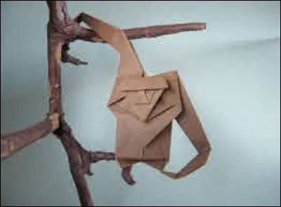 Comment se nomme cet animal ?