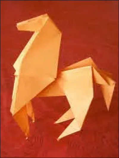 Quel est le nom de cet animal ?