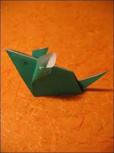 Quel est le nom de cet animal ?