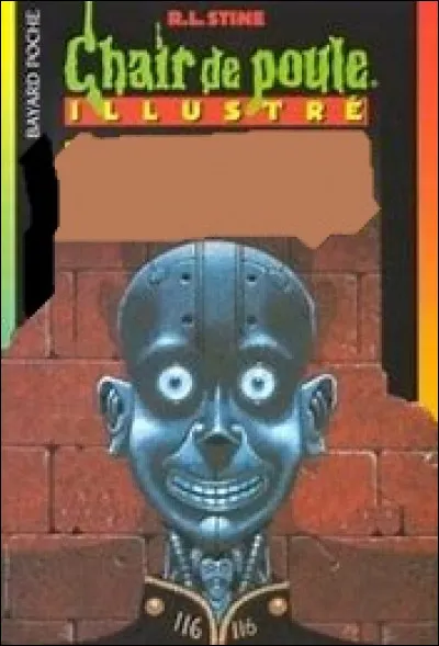 Quel est le nom de ce Chair de Poule ?