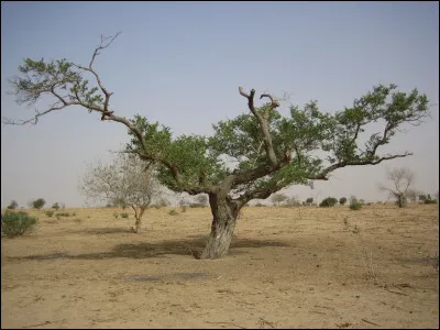 Mal comme Mali : laquelle de ces villes ne lui appartient pas ?