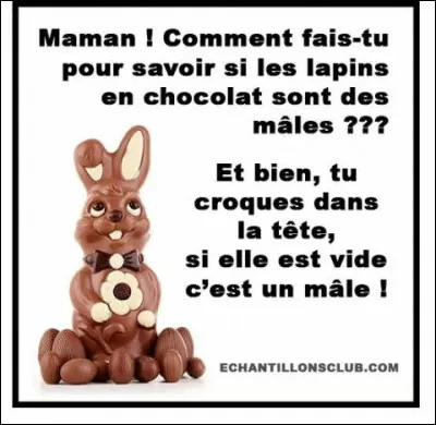 Mal comme mâle : comment sait-on qu'un mâle va dire quelque chose d'intelligent ?