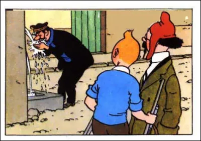 Encore une fois, le capitaine dans ses oeuvres : mais que fait-il sous les yeux ébahis de Tournesol et Tintin ?