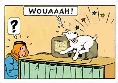 Il arrive aussi quelques mésaventures à Milou, bien entendu...