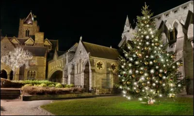 En Irlande devant quoi dépose-t-on traditionnellement du pain et du lait la veille de Noël ?