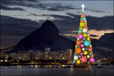 Quel nom d'animal qualifie la messe célébré au Brésil le soir du 24 décembre ?