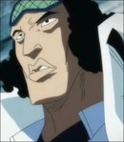 Quel est le nom de ce personnage (One Piece) ?