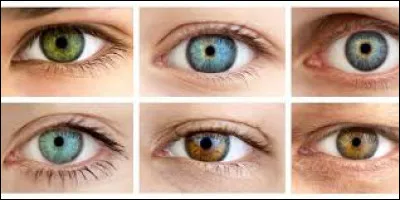 De quelle couleur sont tes yeux ?