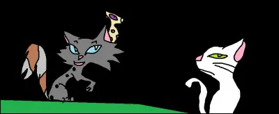 Ton/ta compagnon/compagne t'a trompé avec un autre chat, quelle est ta réaction ?