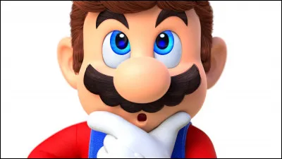 Dans "Mario" qui est la personne qui se fait enlever par Bowser ?