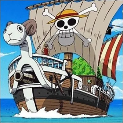 Dans l'anime de 1999 "One Piece", quel est le nom du premier bateau de l'équipage du Chapeau de Paille ?