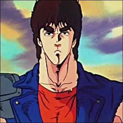 Dans l'anime de 1984 "Ken le survivant", de quel art martial Kenshiro est-il le successeur ?