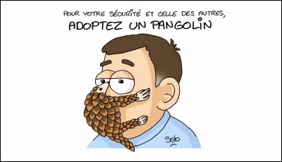 Où peut-on trouver cet animal, le pangolin ?