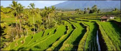 Dans quel hémisphère se trouve l'île de Java ?