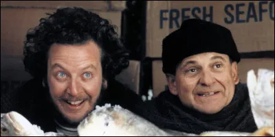 Quel groupe de rap fait référence au meilleur duo de méchants tout droit sortis du meilleur film de Noël de tous les temps, "Maman j'ai raté l'avion" ?