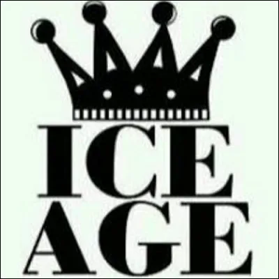 Quel rappeur, qui adore répéter son nom, est le créateur du fameux label américain Ice Age Entertainement ?