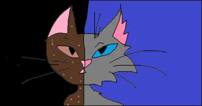 Comment Joli étoile est-elle ?