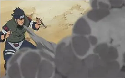 Cette technique se nomme :